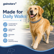 Gainstarx Adjustable Dog Collar – Comfortable Daily Wear for Large Dogs