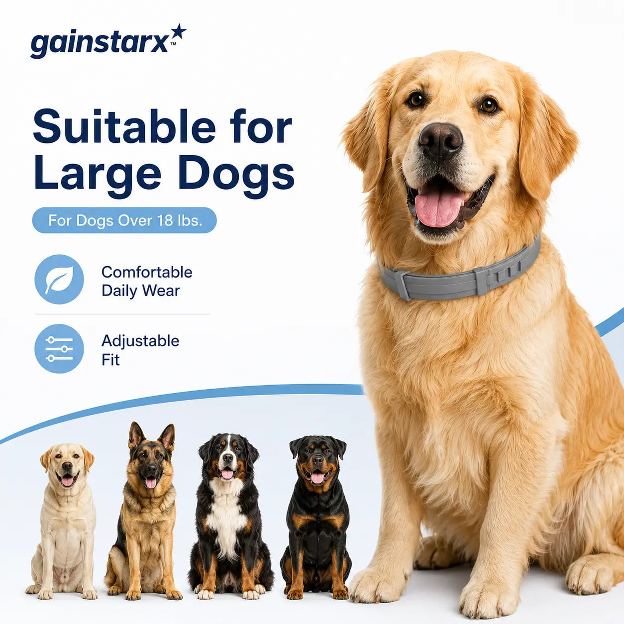 Gainstarx Adjustable Dog Collar – Comfortable Daily Wear for Large Dogs