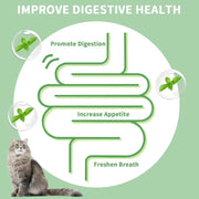 Catnip Toys Balls 4 Pcs, Extra Cat Energy Ball, Edible Kitten Silvervine Toys, Healthy Kitty Teeth Cleaning Dental Chew Toys, Cat Wall Treats