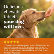 OurCares Flea & Tick Chews Supplement Jar