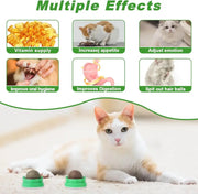 Catnip Toys Balls 4 Pcs, Extra Cat Energy Ball, Edible Kitten Silvervine Toys, Healthy Kitty Teeth Cleaning Dental Chew Toys, Cat Wall Treats