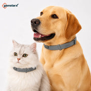 Gainstarx Adjustable Dog Collar – Comfortable Daily Wear for Large Dogs