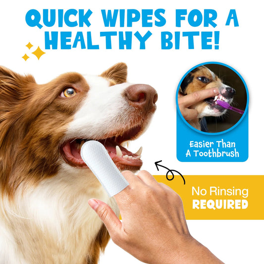 Keeping smiles bright for all breeds