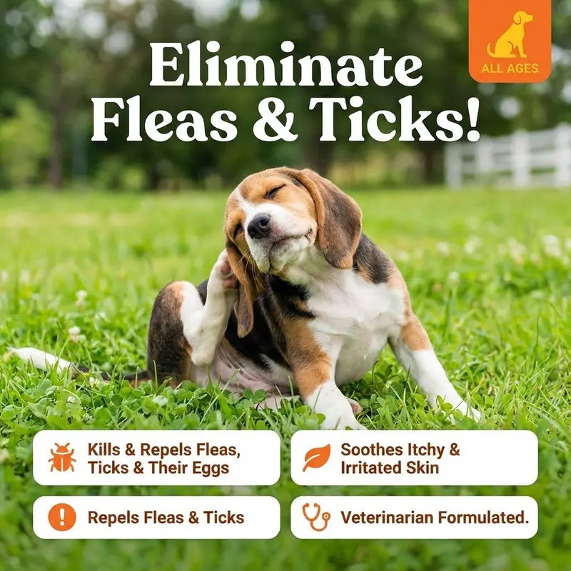 Dog scratching - Eliminate Fleas & Ticks