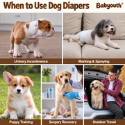 Babyouth Disposable Male Dog Wraps | Small, 12-Pack