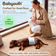 Babyouth Disposable Male Dog Wraps | Small, 12-Pack