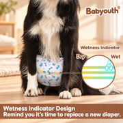 Babyouth Disposable Male Dog Wraps | Small, 12-Pack